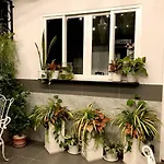 Louis Hotel - Bui Vien Walking Street